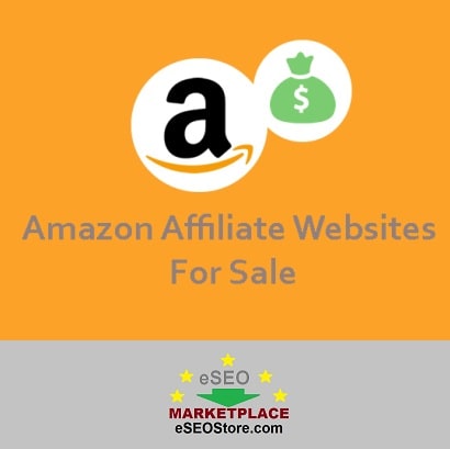 Buy Amazon Affiliate Website | Premium SEO Marketplace